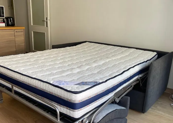 Plein Centre, Calme, Parking Inclus, Piscine Et Gardien Daire